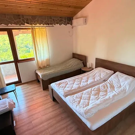Comfort Evdokiya